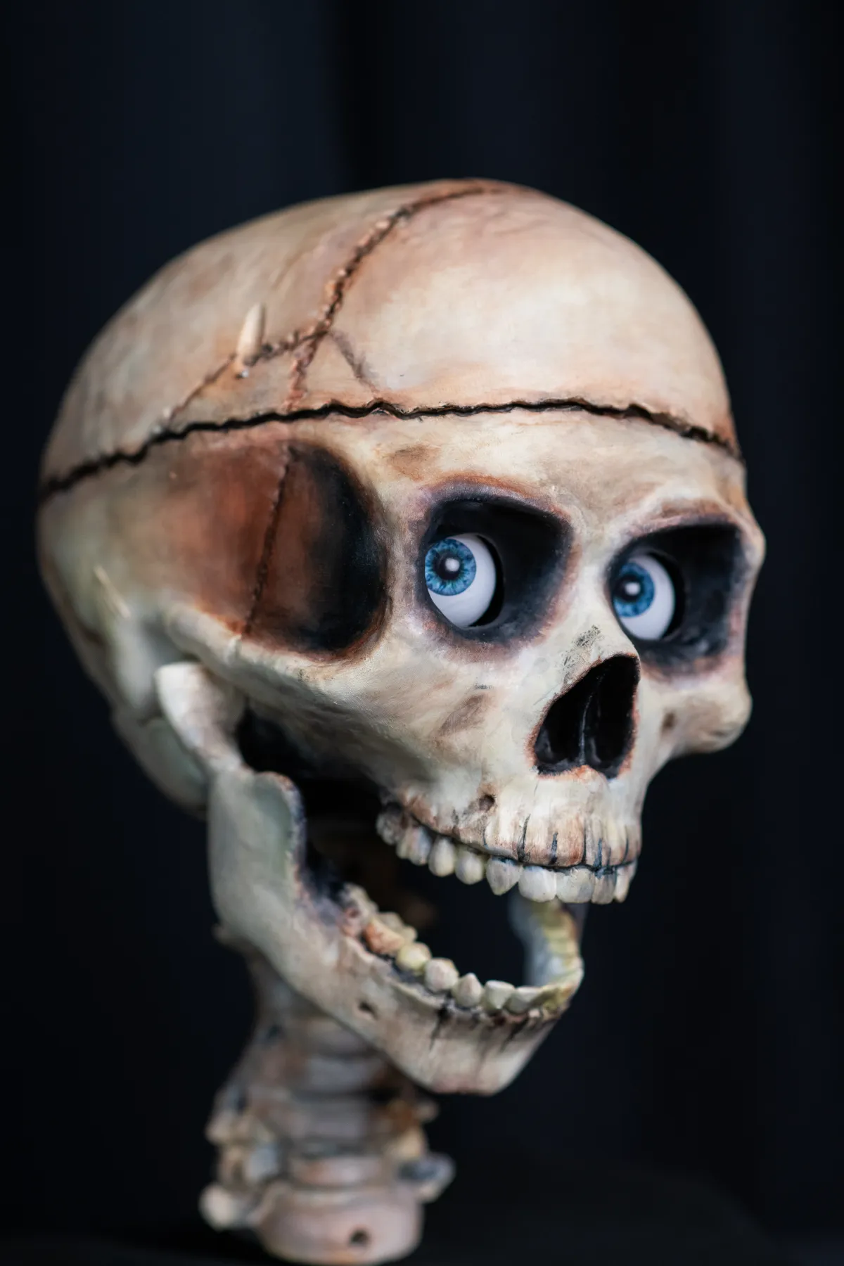 SkullTronix Skull Pro