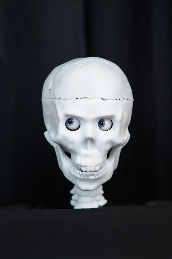 SkullTronix Trunk or Treat Skull configured view