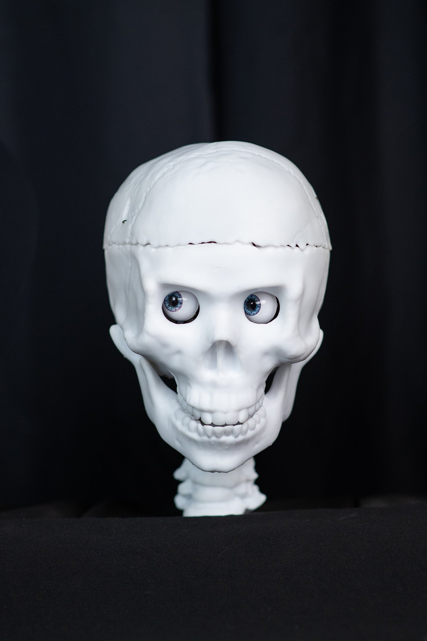 SkullTronix Skull