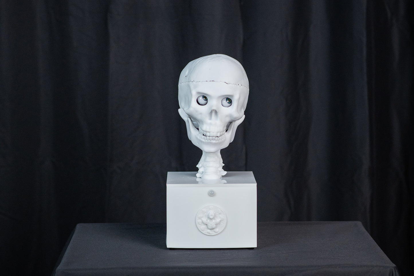 SkullTronix Skull