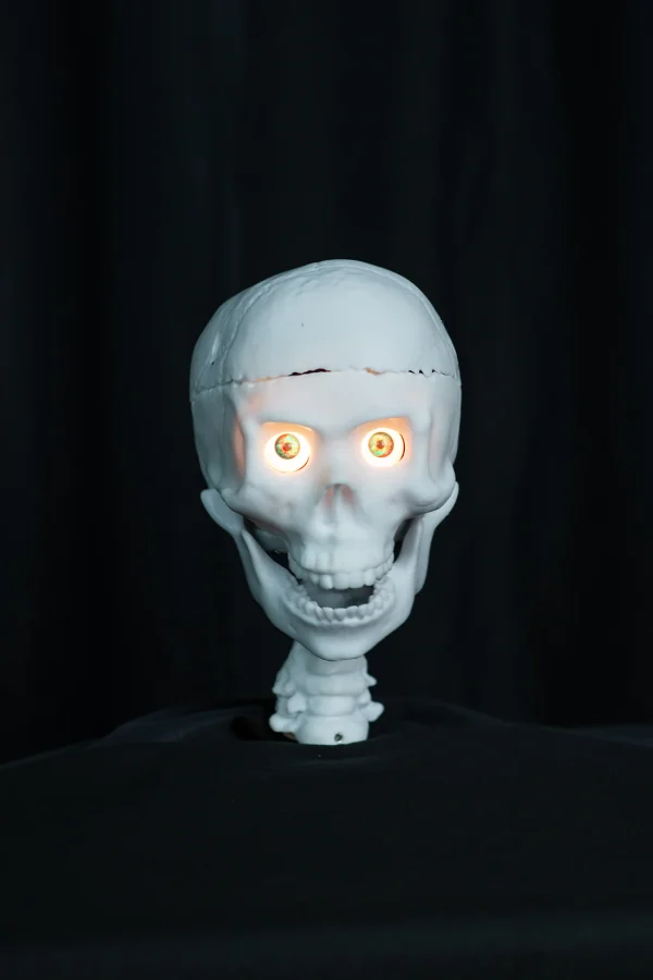 SkullTronix Skull - Image 3