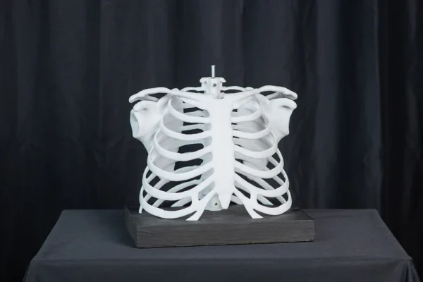 SkullTronix Skull - Image 6
