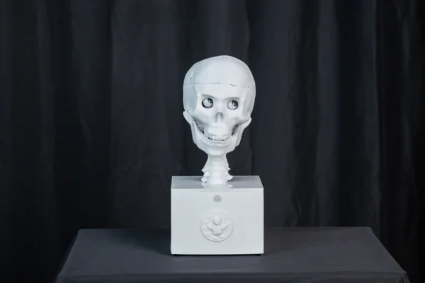 SkullTronix Skull - Image 5