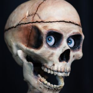 SkullTronix Skull Pro