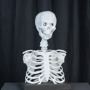 SkullTronix Trunk or Treat Skull